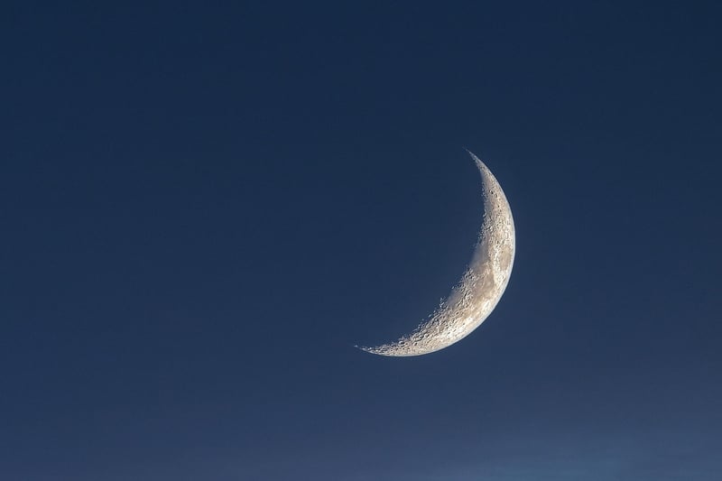 Moonlit Romance